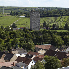 Bergfried der Schwabsburg auf einer Anhöhe hinter Wohnhäusern, links und im Hintergrund Weinberge
